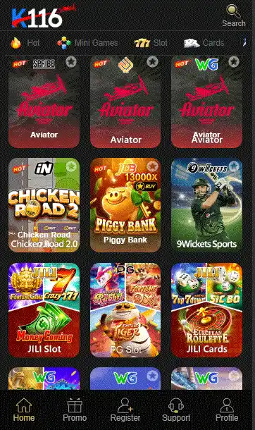 K116 GAME INTERFACE