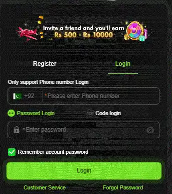 PKNice game interface 2026
