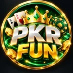 PKR FUN LOGO