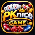 PKnice game Logo