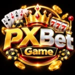 PXBet logo